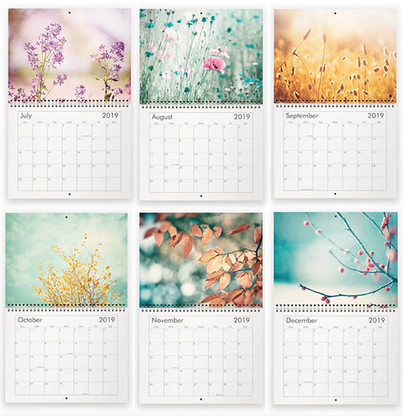 2019 Nature Photography Wall Calendar | Gift for Nature Garden Lover