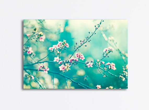 Teal Pink Nature Photography Canvas by carolyncochrane.com