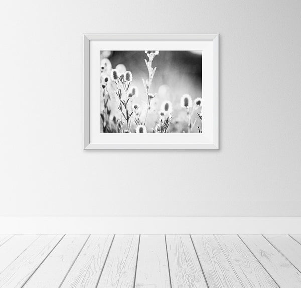 Black and White Nature Photography Print by carolyncochrane.com