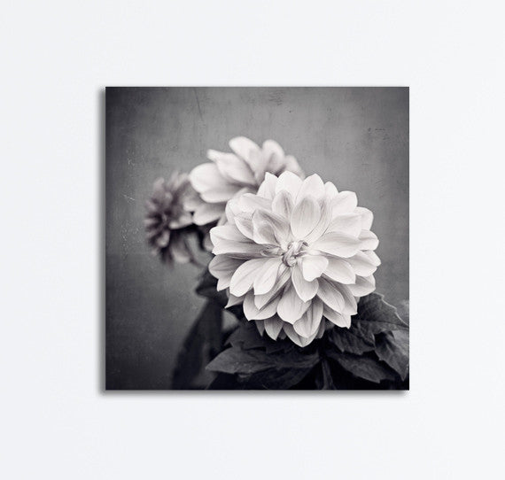 Black and White Dahlia Flower Photography Canvas by carolyncochrane.com