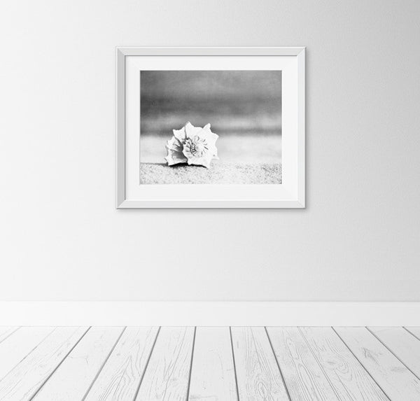 Black and White Beach Photography Art by carolyncochrane.com