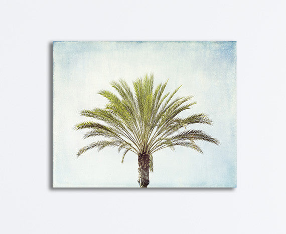Palm Tree Canvas Photography Art by Carolyn Cochrane | Beach Wall Print