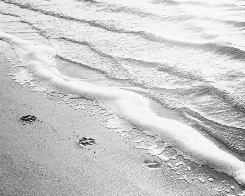 Black White Beach Photography by carolyncochrane.com
