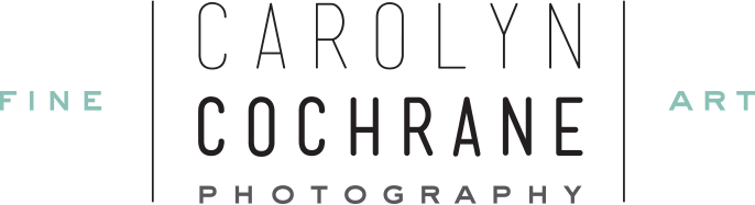 Carolyn Cochrane Photography