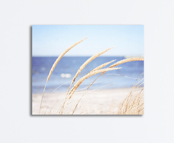 Beach Grass Photography Canvas by carolyncochrane.com