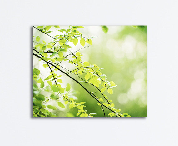 Green Nature Photography Canvas by carolyncochrane.com