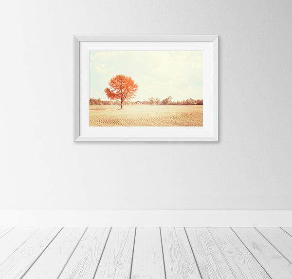 Autumn Trees Photography Print by carolyncochrane.com