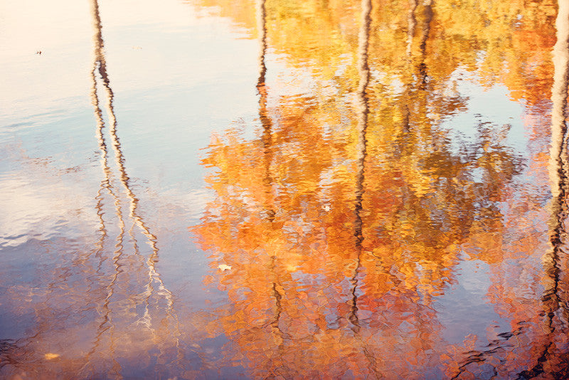Autumn Tree Reflections in Water Wall Art – Carolyn Cochrane Photography
