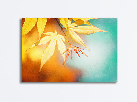 Colorful Autumn Canvas Photography by carolyncochrane.com