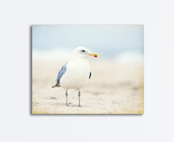 Seagull Photography Canvas by carolyncochrane.com