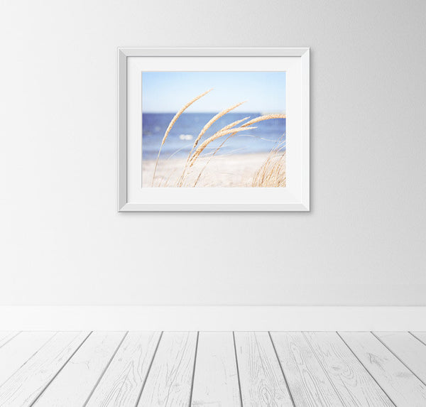 Beach Grass Photography Print by carolyncochrane.com