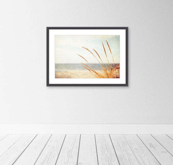 Beach Grass Photography Decor by carolyncochrane.com