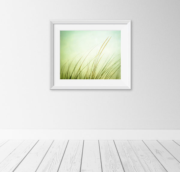 Green Beach Grass Art Photography by carolyncochrane.com