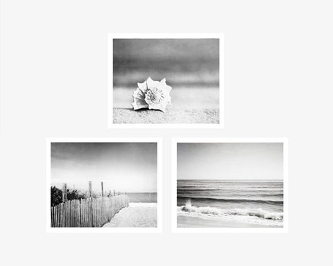 Black and White Beach Photos by carolyncochrane.com