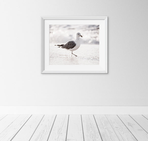 Seagull on Beach Photography by carolyncochrane.com