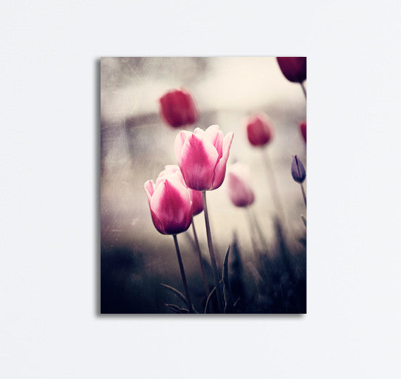 Pink and Brown Tulip Canvas Art by carolyncochrane.com