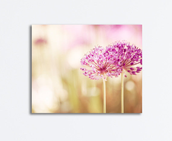 Pink Flower Photography Canvas Art by carolyncochrane.com