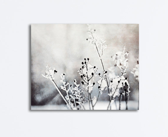 Black and White Winter Photography Canvas by carolyncochrane.com