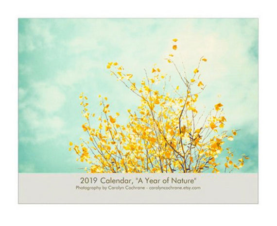 2019 Nature Photography Wall Calendar | Gift for Nature Garden Lover