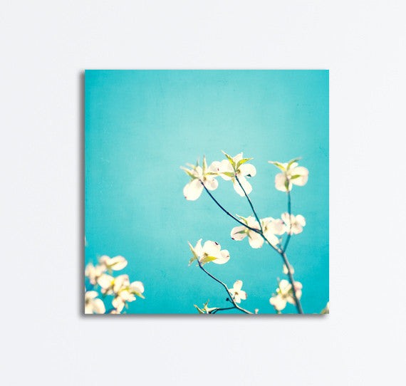 Aqua Blue Flower Canvases by carolyncochrane.com