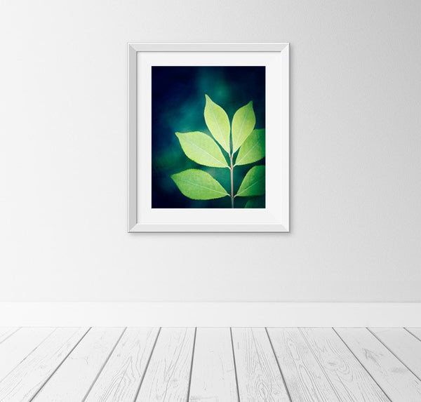 Green Leaf Photography Art Print by Carolyn Cochrane