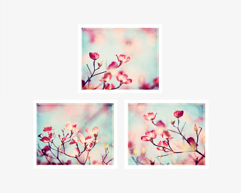 Pink Dogwood Floral Photography Set by carolyncochrane.com