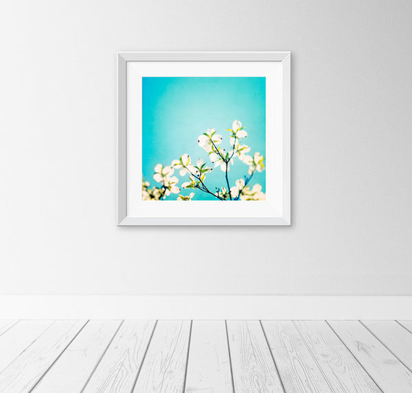 Aqua Blue Nature Art by carolyncochrane.com