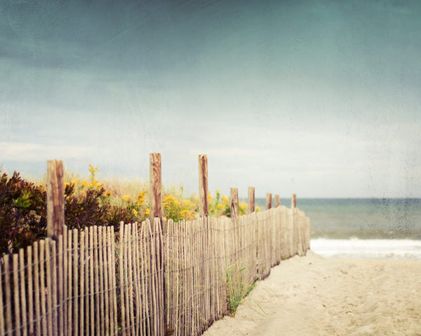 Beach Fence Landscape Photography by carolyncochrane.com