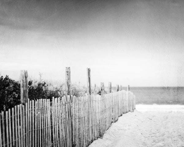 Black and White Beach Photos by carolyncochrane.com