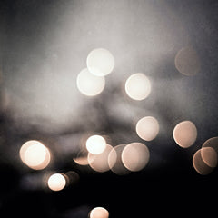 Modern Black Sparkle Photography by carolyncochrane.com