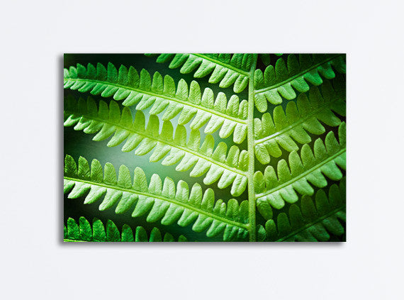 Green Fern Leaf Canvas Art by carolyncochrane.com