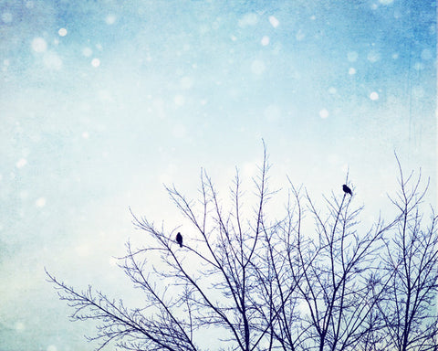 Blue Winter Nature Print by carolyncochrane.com