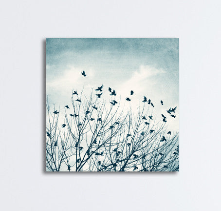 Blue Birds in Tree Canvas Art by carolyncochrane.com