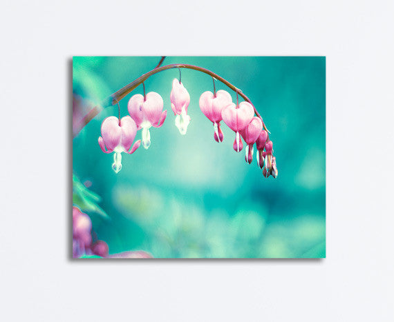 Teal Pink Bleeding Hearts Flower Photography by carolyncochrane.com