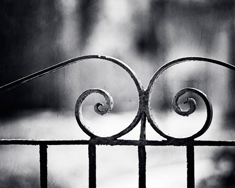 Black and White Gate Photography by carolyncochrane.com