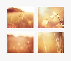 Copper Gold Nature Photography Set by carolyncochrane.com