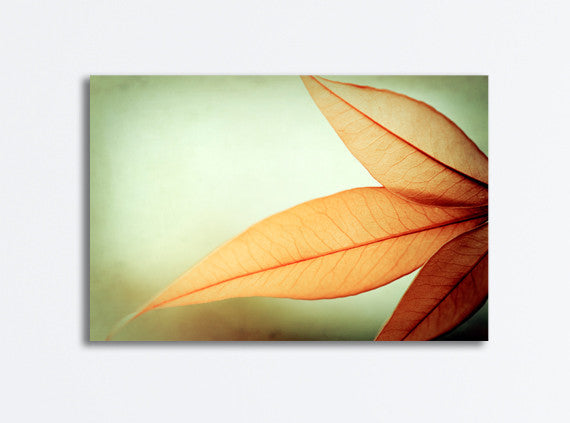 Orange Green Nature Photography Canvas by carolyncochrane.com