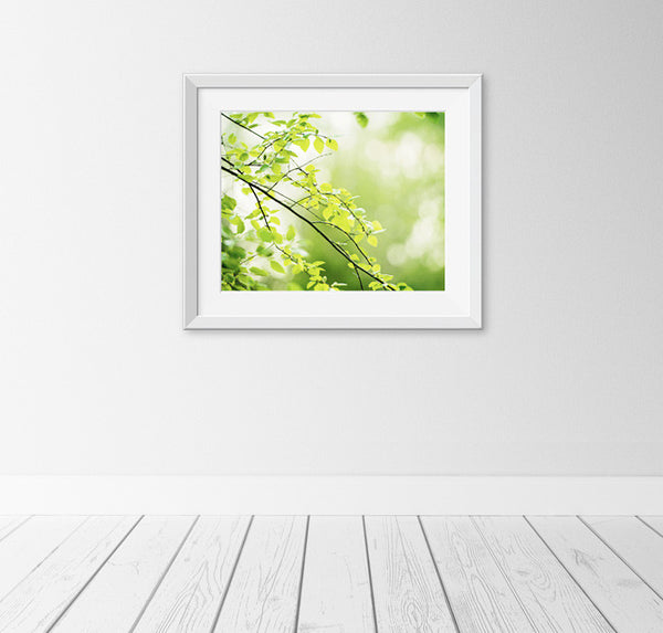 Green Nature Photography Print by carolyncochrane.com