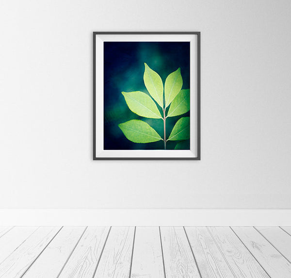 Green Leaf Photography Art Print by Carolyn Cochrane
