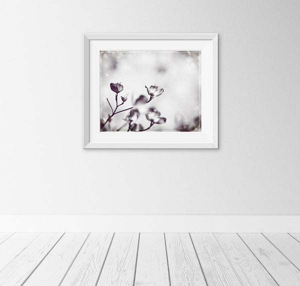 Black and White Floral Art Print by carolyncochrane.com