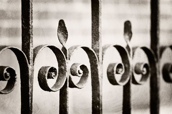 Neutral Gate Photography by carolyncochrane.com