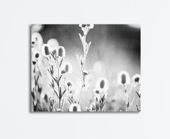 Black and White Nature Photography Canvas by carolyncochrane.com