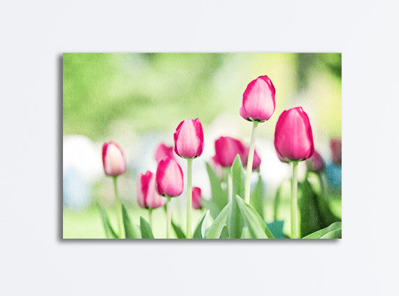 Tulip Photography Canvas by carolyncochrane.com