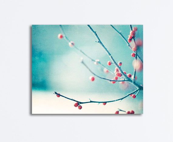 Winter Photography Prints by carolyncochrane.com | Blue Red Berries