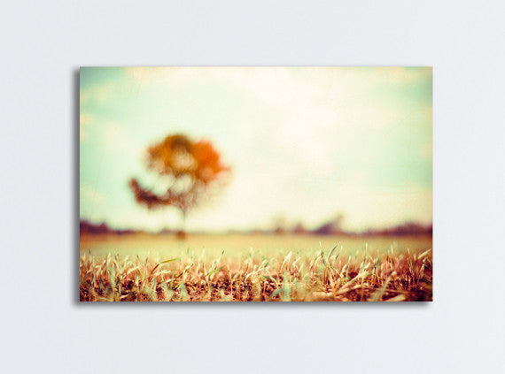 Fall Landscape Canvas Photography by carolyncochrane.com