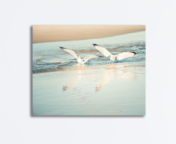 Seagulls Photography Canvas Print by carolyncochrane.com