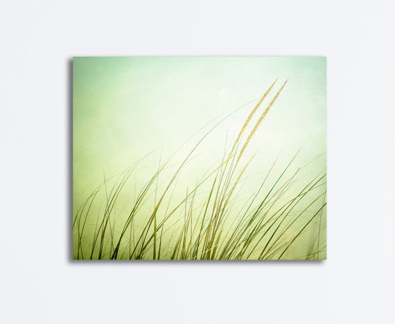 Green Beach Grass Canvas Art by carolyncochrane.com