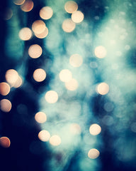 Dark Blue Gold Sparkle Photography by carolyncochrane.com