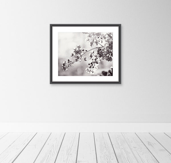 Black and White Floral Art Prints by carolyncochrane.com