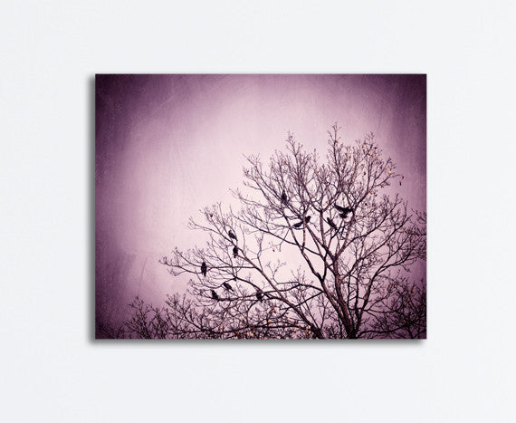 Purple Black Birds in Tree Photography by carolyncochrane.com